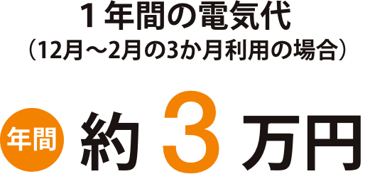 １年間の電気代（12月～2月の3か月利用の場合） 年間約3万円