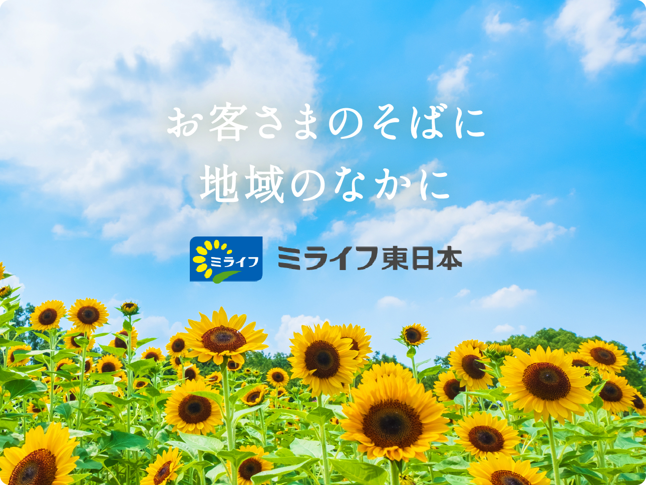 ミライフ東日本 お客さまのそばに 地域のなかに